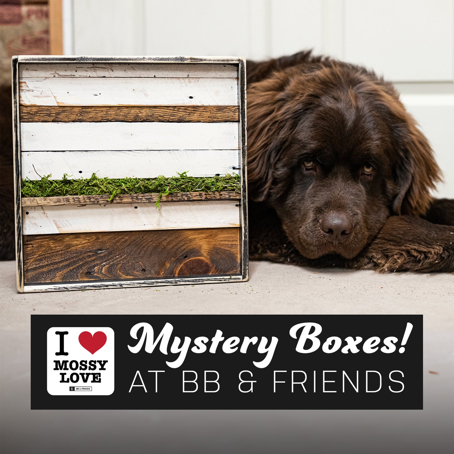 The Deluxe Mossy Love Mystery Box